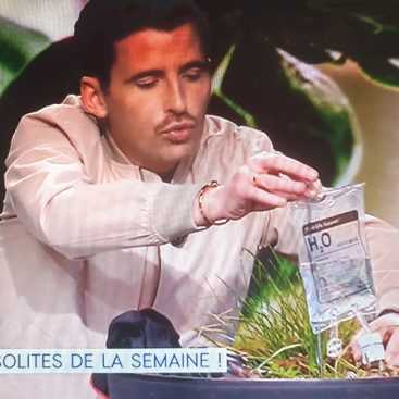 insolite william leymergie poche plante