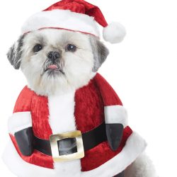 deguisement pere noel chien