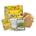 coffret cadeau plante papillon