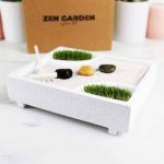 mini-jardin-zen-japonais (1)