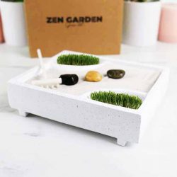 mini jardin zen japonais