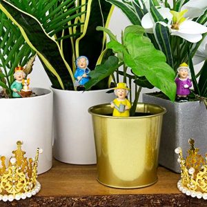 mini-reine-angleterre-pot-plante (1)
