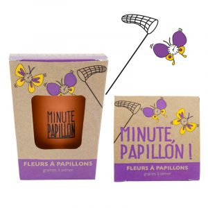 kit plante minute papillon