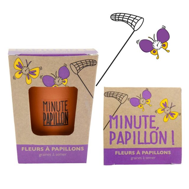 kit plante minute papillon