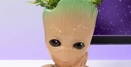 pot crayon plante groot