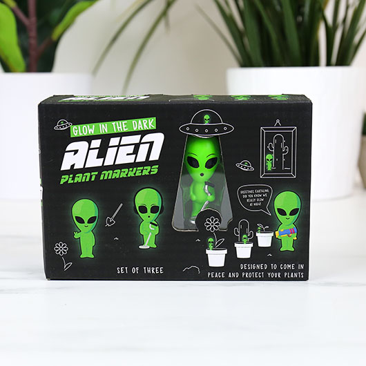 mini aliens decoration plante