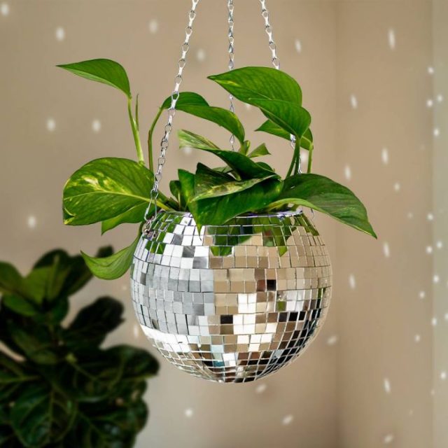 pot à plantes disco