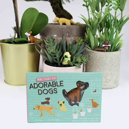 decoration insolite plante chien