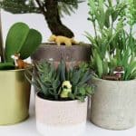 decoration insolite plante chien