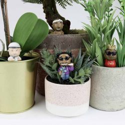 personnages insolites plantes rappeur