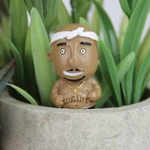 personnages insolites plantes rappeur