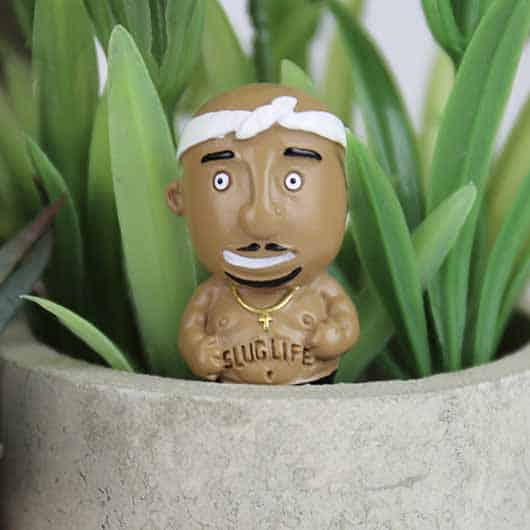 personnages insolites plantes rappeur