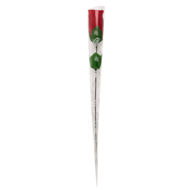 rose surprise avec string