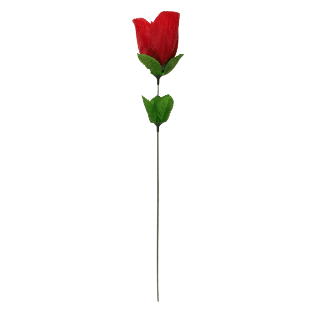 rose surprise avec string