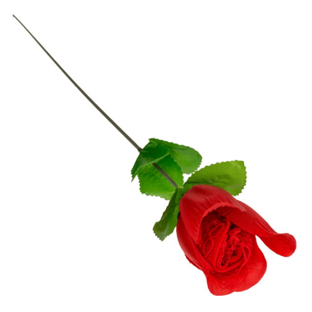 rose surprise avec string