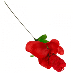rose surprise avec string