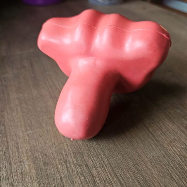 jouet chien sourire lèvre