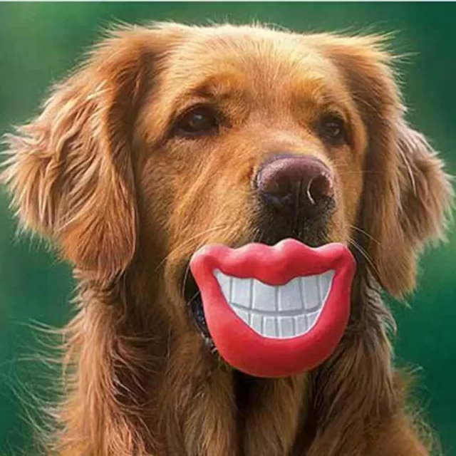 jouet-chien-sourire-levre (1) jouet chien sourire lèvre