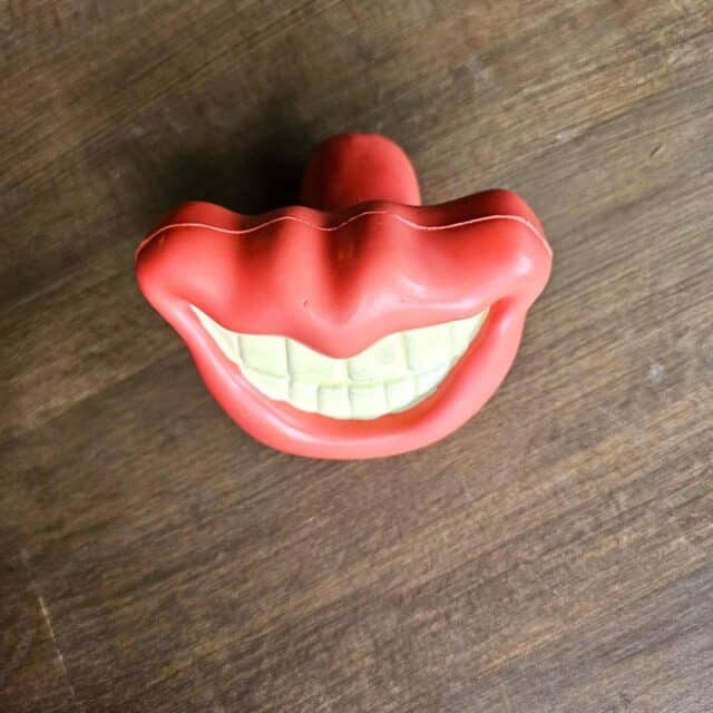 jouet chien sourire lèvre