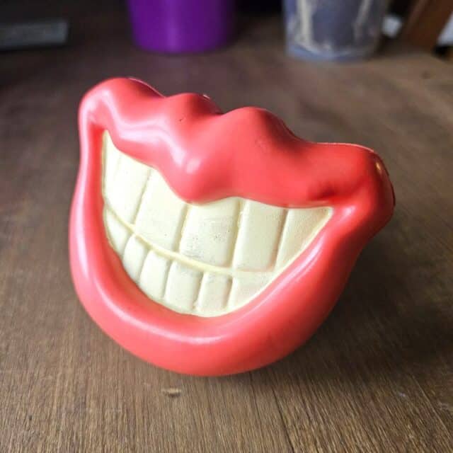 jouet chien sourire lèvre